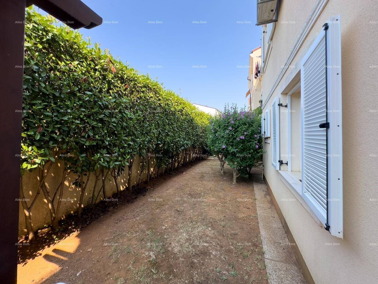 Schmaler Gartenweg entlang des Gebäudes, begrenzt von einer hohen, gepflegten Hecke, sonnig.