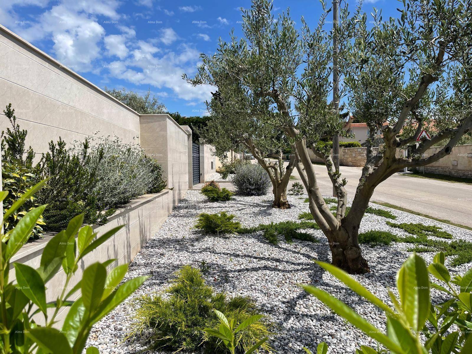 Mediterrane Bepflanzung mit Olivenbäumen und Kiesbeet entlang einer ruhigen Straße.
