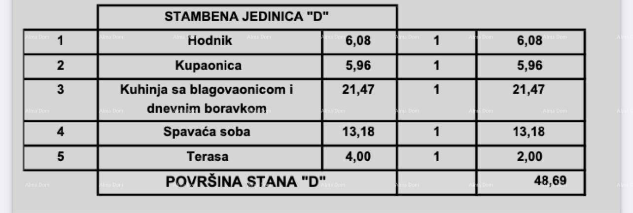 Slide 8