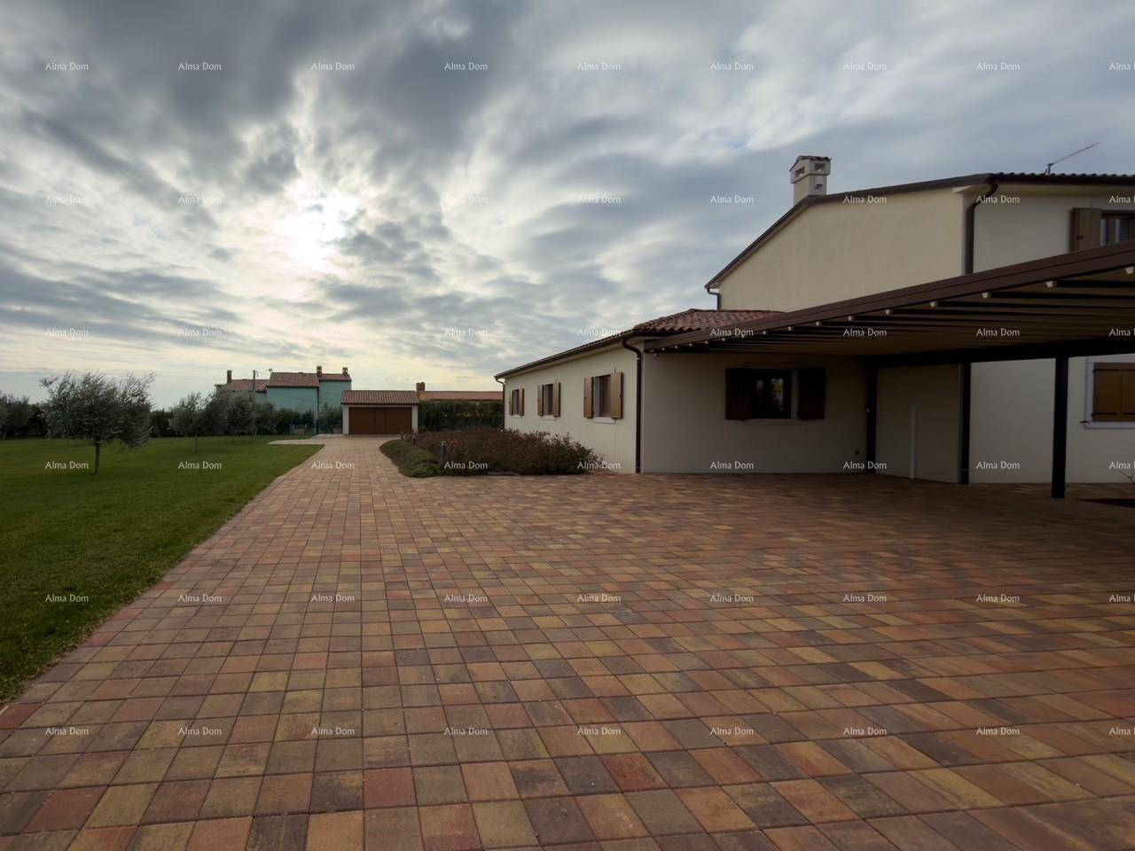 Außenansicht des Hauses mit gepflasterter Auffahrt, Carport und weitläufigem Rasen mit Olivenbäumen.