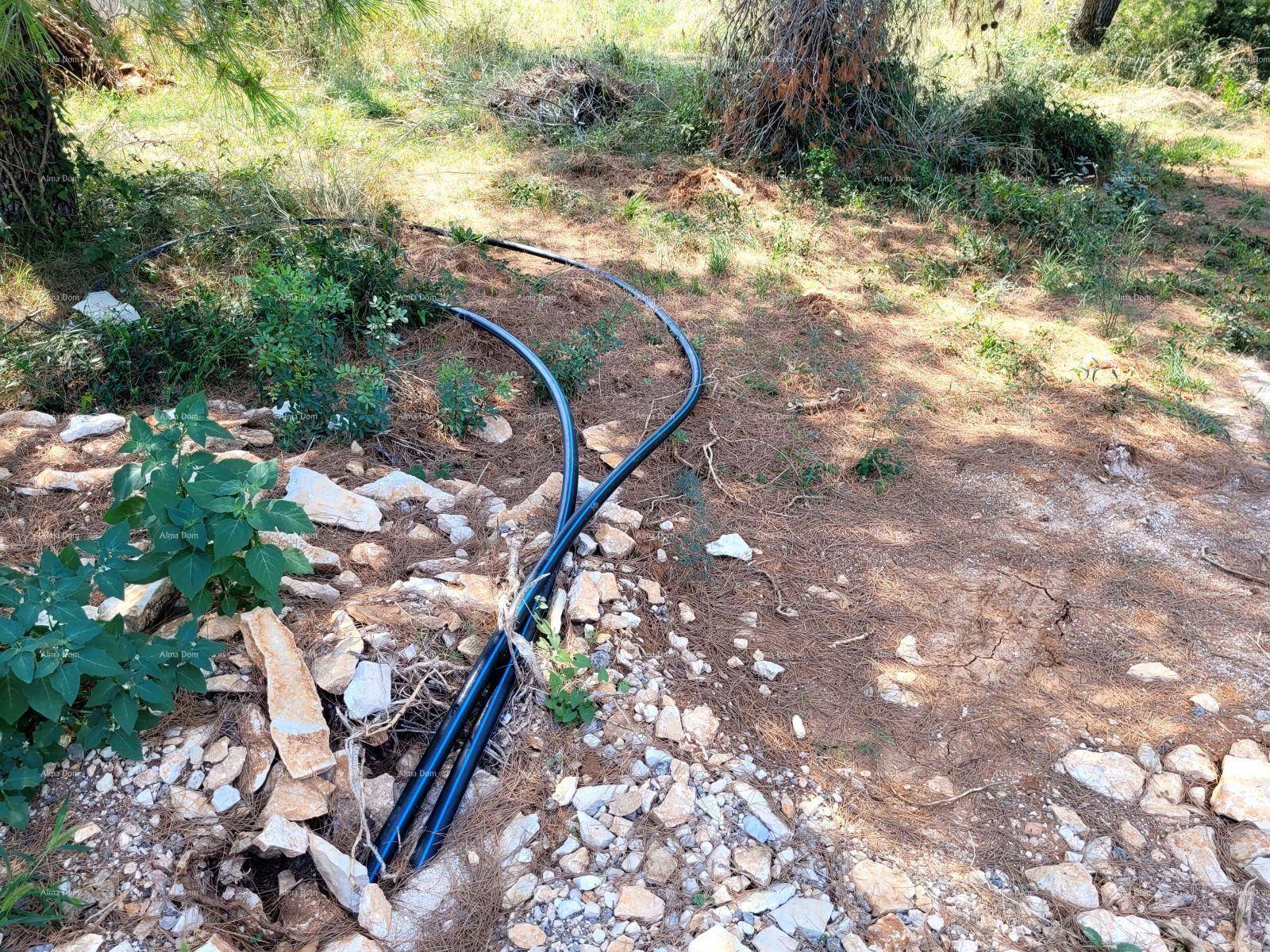 Schwarze Rohre liegen auf steinigem Boden zwischen Kiefernnadeln und spärlicher Vegetation im Freien.