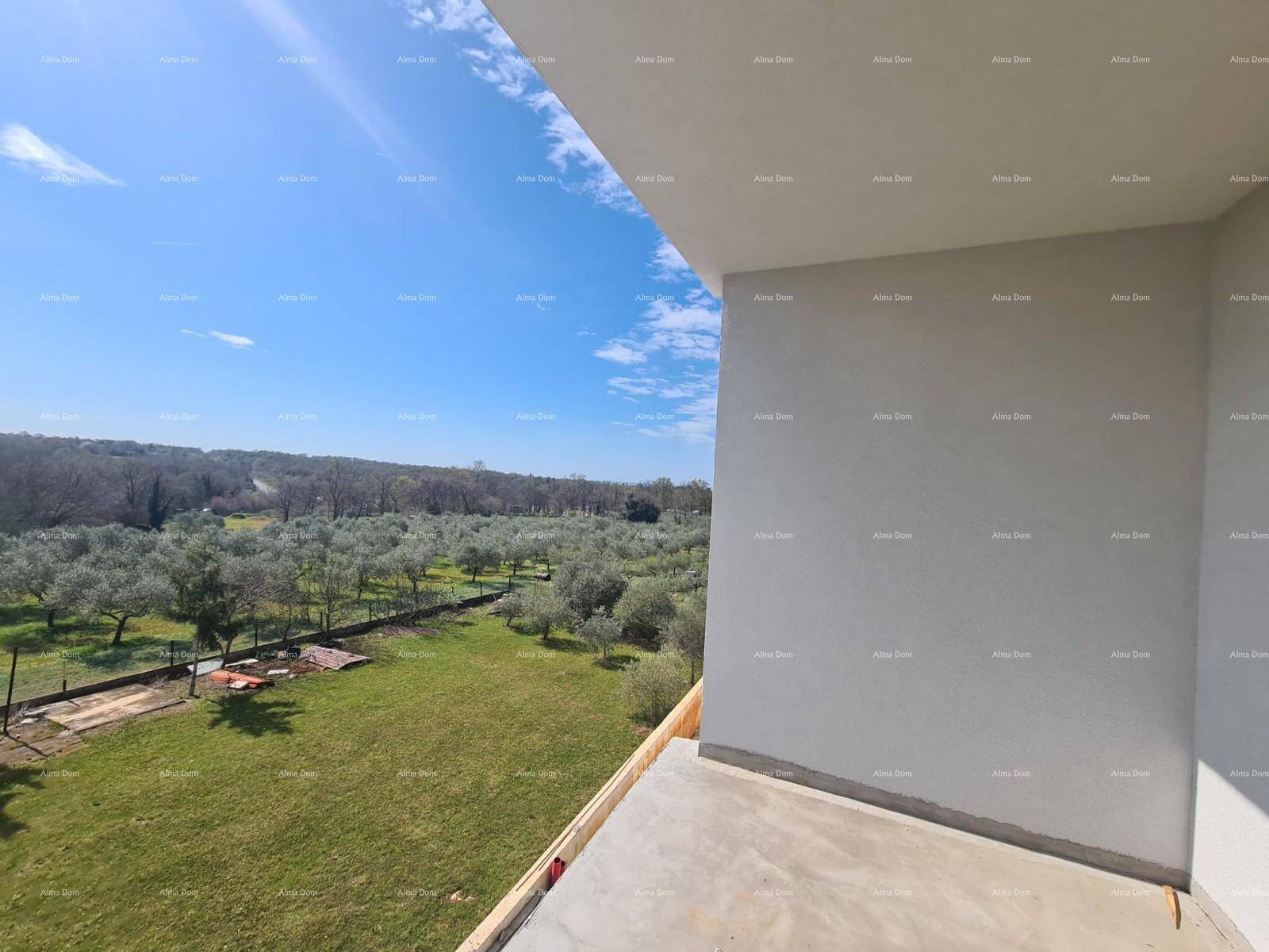 Balkon mit weitem Blick über eine grüne Landschaft mit Olivenbäumen unter blauem Himmel.