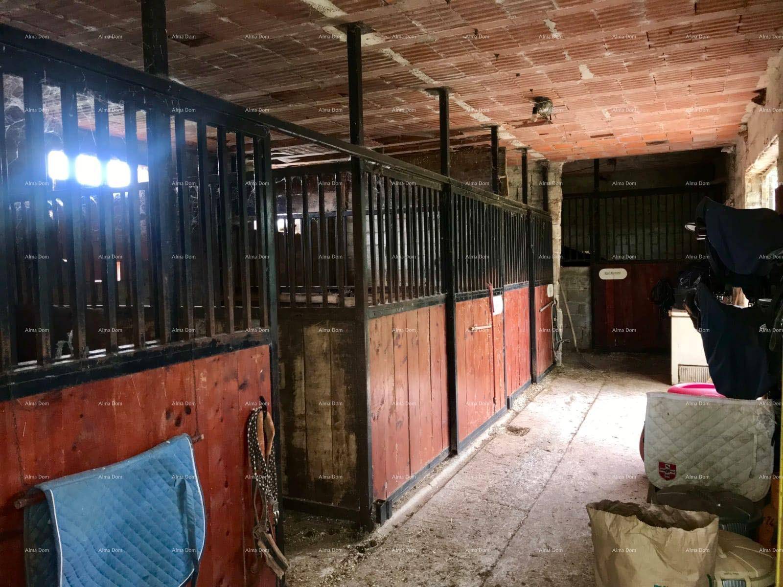 Innenansicht eines Stalls mit Holzboxen und Ziegeldecke.