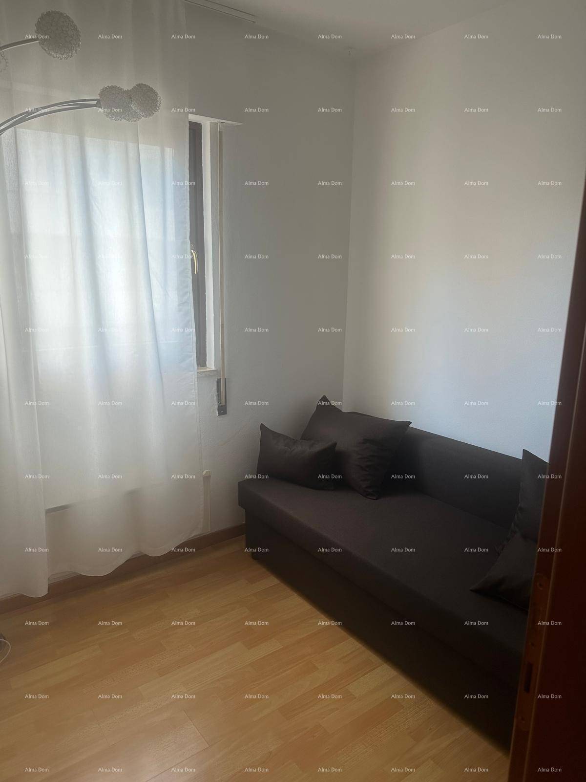 Kleines Zimmer mit Schlafsofa, Holzboden und Fenster mit hellen Vorhängen.