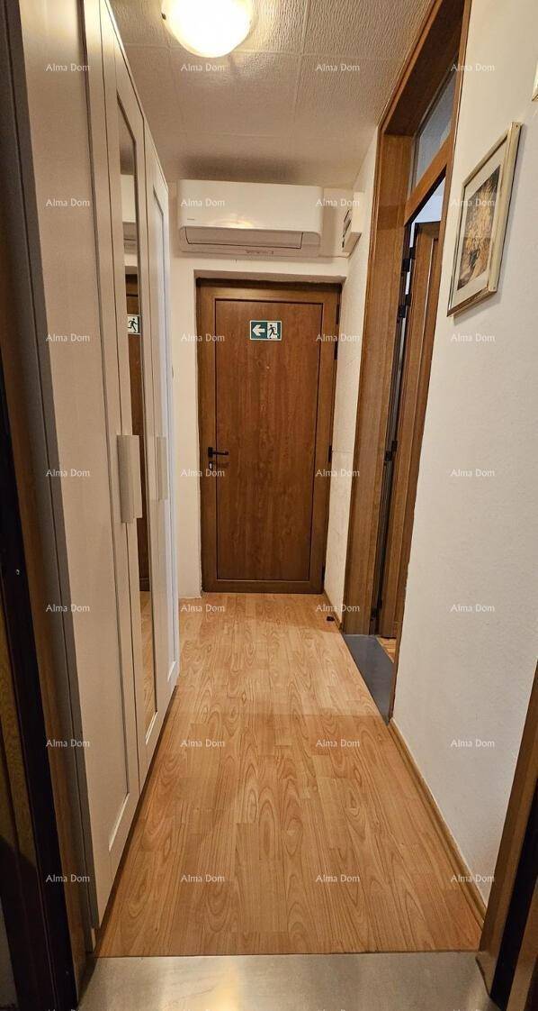 Langer Flur mit Holzboden, Einbauschrank und Klimaanlage über der Tür.