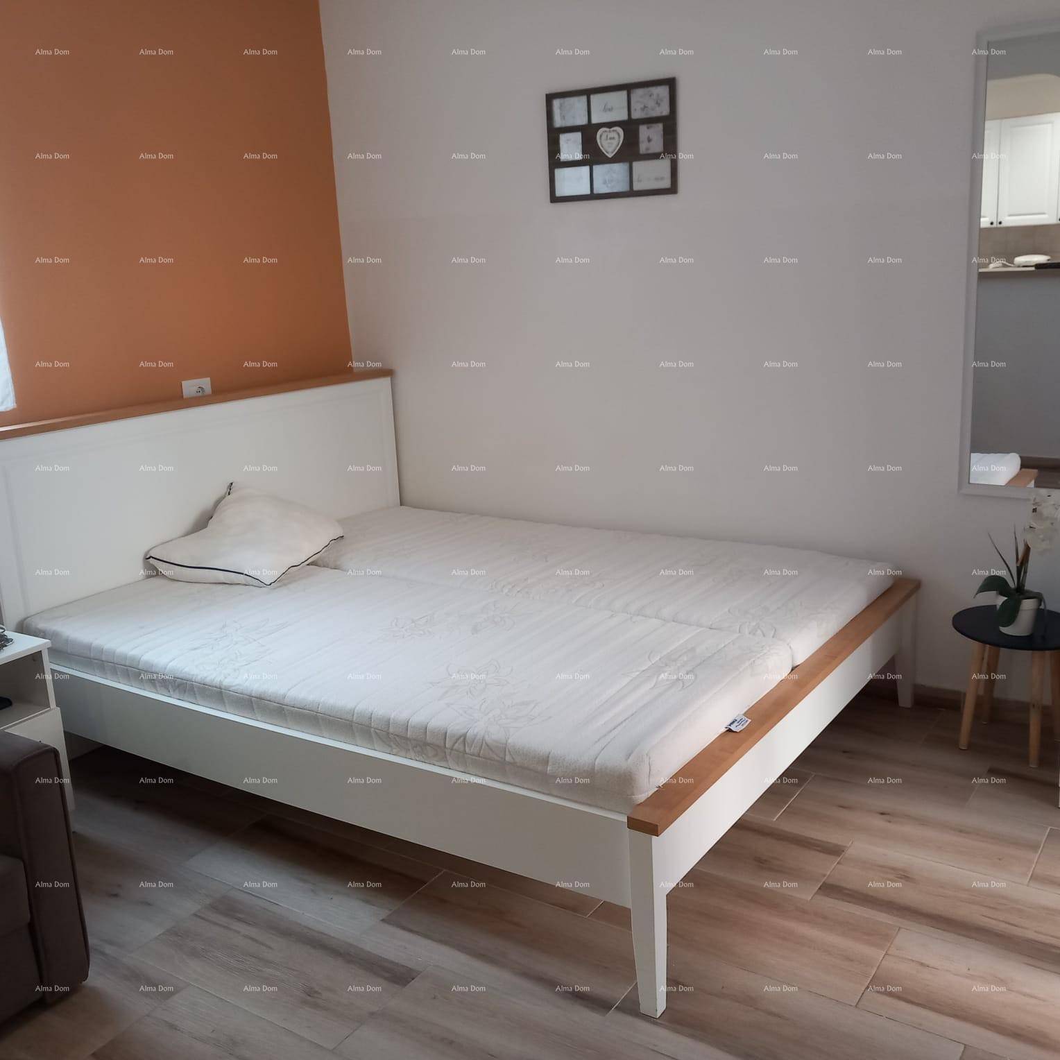 Gemütliches Schlafzimmer mit Doppelbett, Laminatboden und einer Akzentwand in Terrakotta.