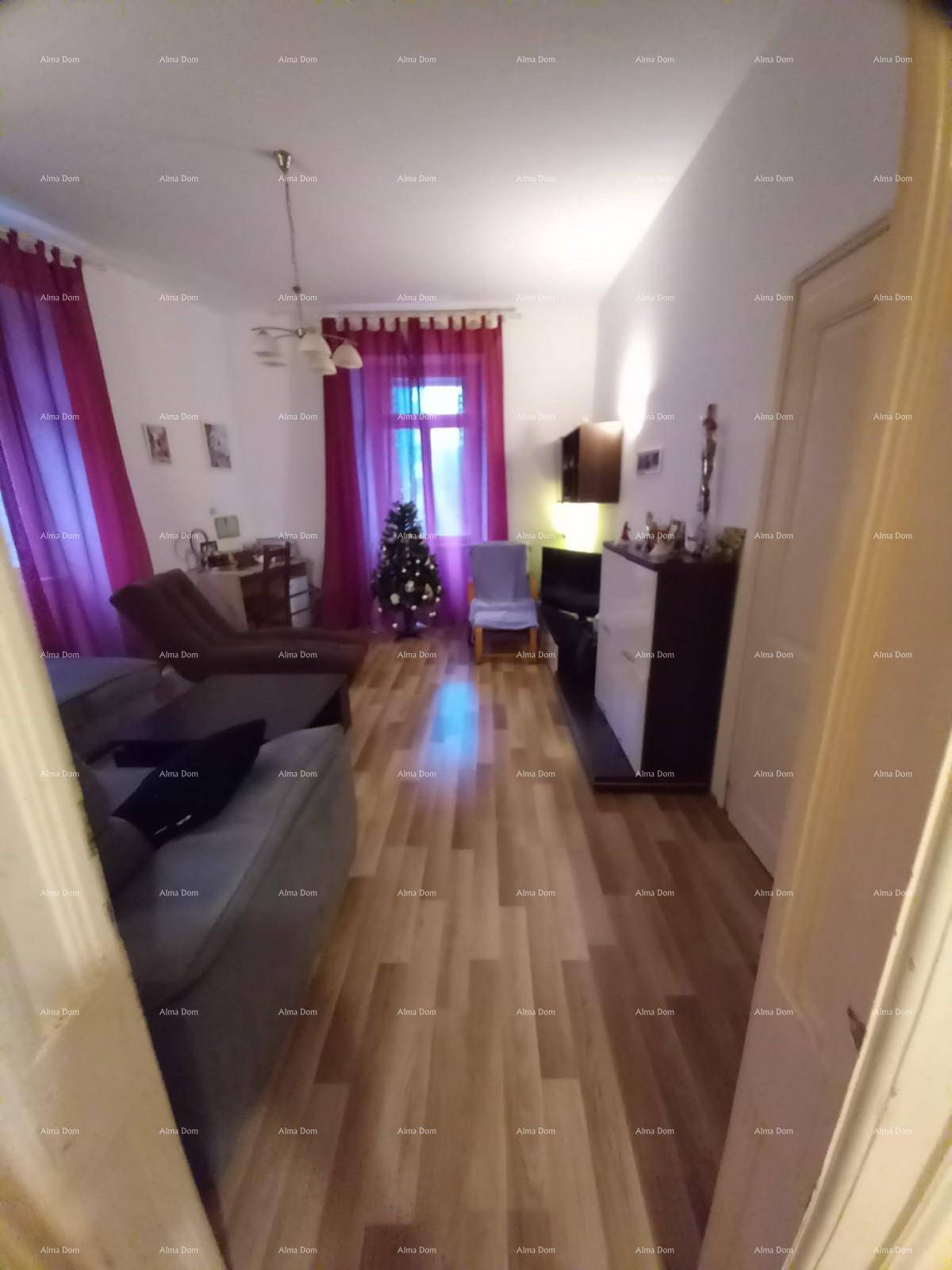 Wohnzimmer mit Holzboden, Sofa und einem kleinen Weihnachtsbaum, durch eine Türöffnung gesehen.