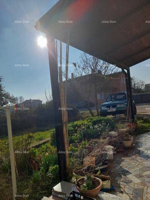 Überdachte Terrasse mit Pflanzen und Blick auf die Umgebung an einem sonnigen Tag.