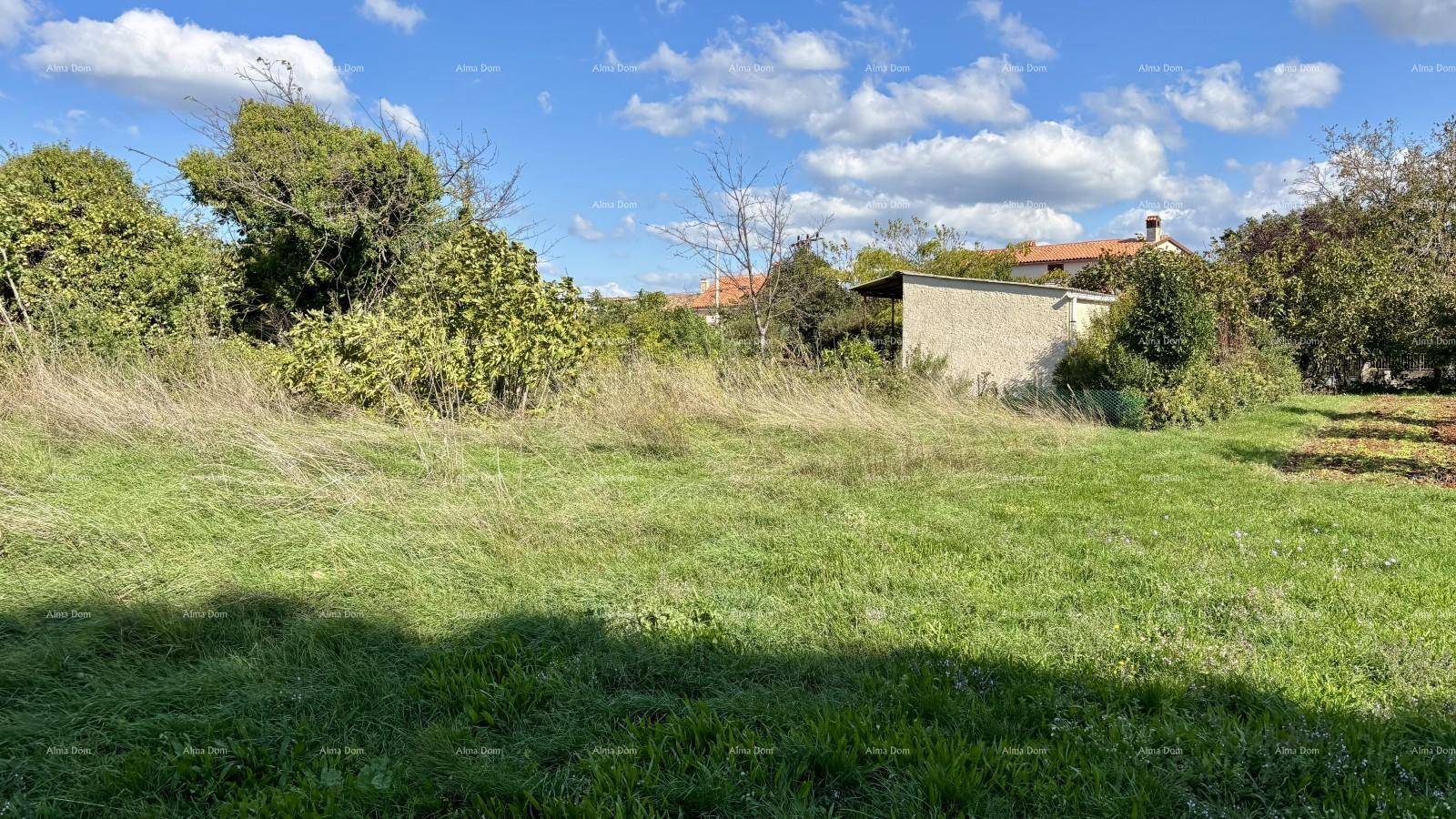 Grünes Grundstück mit hohem Gras, Bäumen und einem kleinen Gebäude im Hintergrund unter blauem Himmel.
