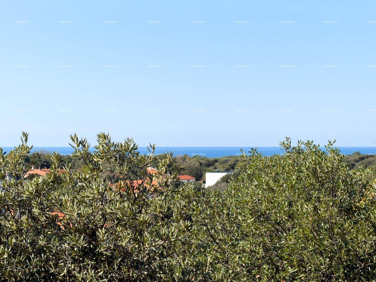 Panoramablick auf das Meer durch dichte grüne Vegetation und die umliegende Landschaft.