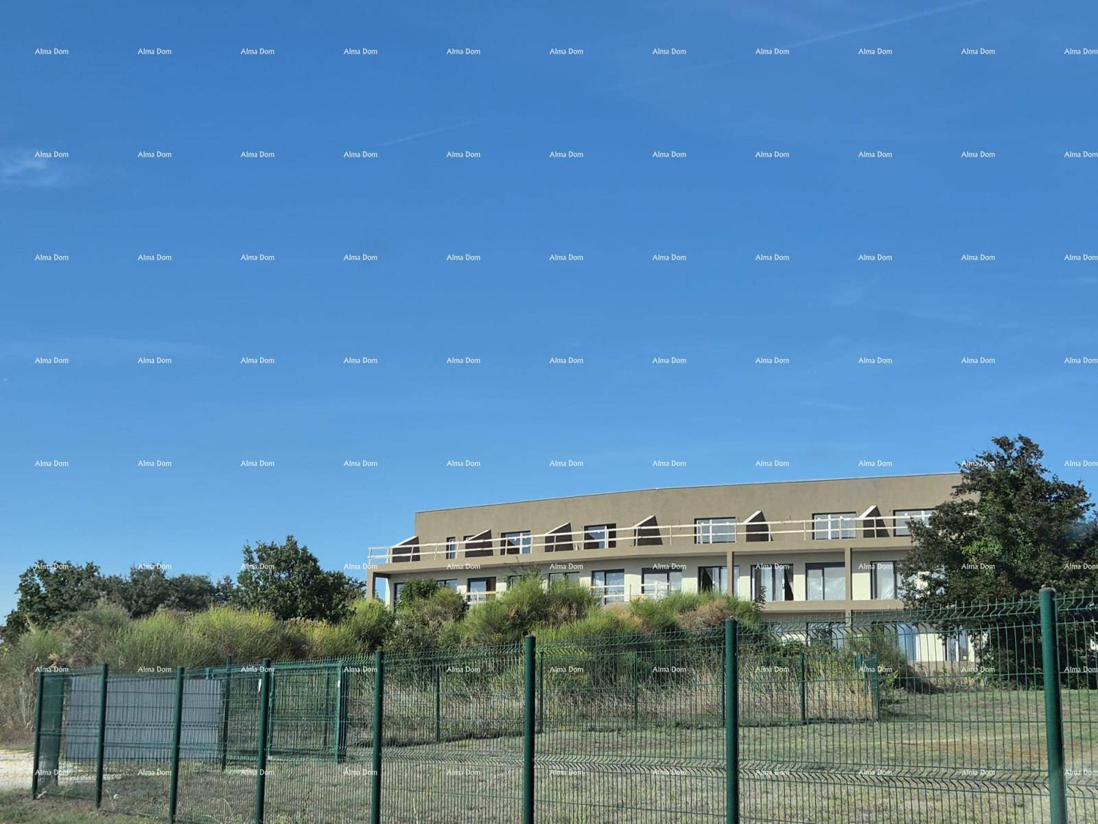 Weitläufige Außenansicht des Gebäudes mit klarem blauen Himmel und üppiger Vegetation.