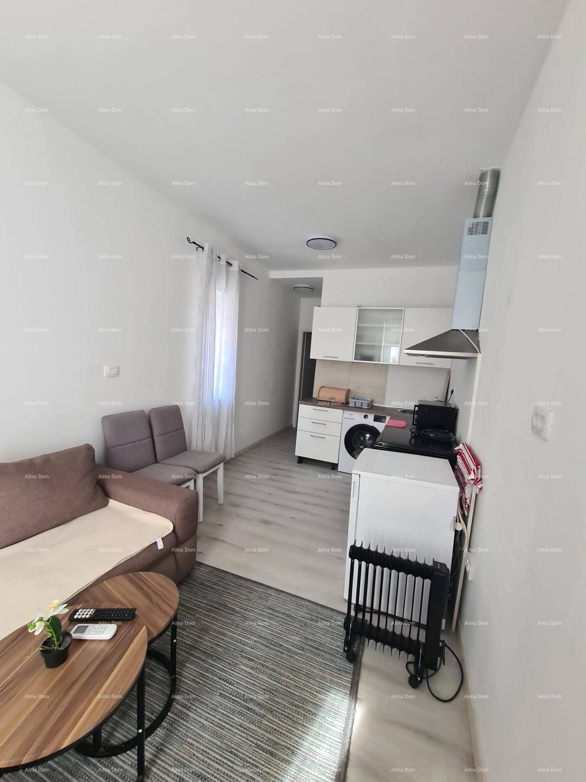 Offener Wohnbereich mit Sofa und integrierter Küchenzeile, ideal für kompaktes Wohnen.