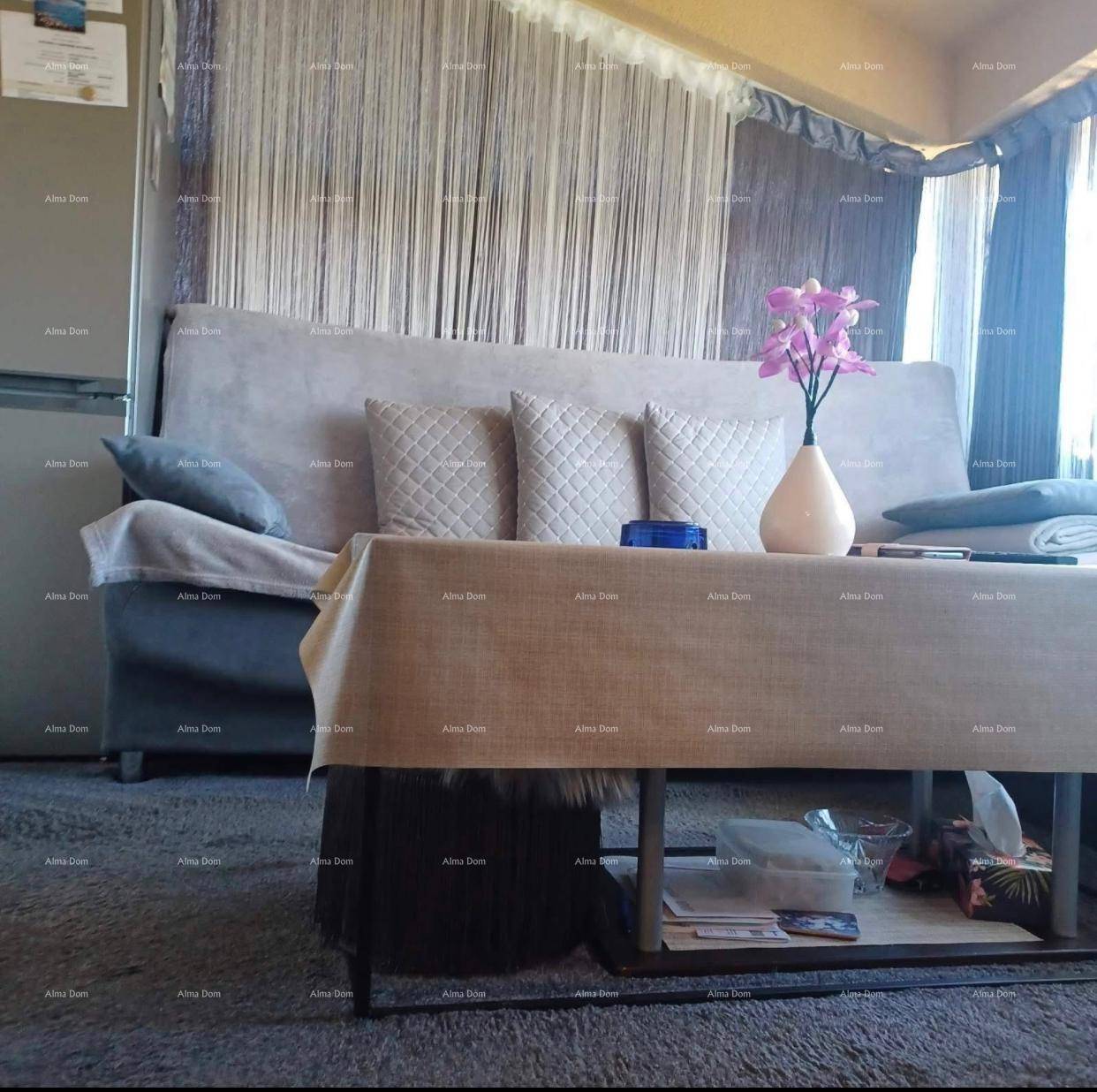 Wohnzimmer mit grauem Sofa, Couchtisch und dekorativen Vorhängen, die eine gemütliche Atmosphäre schaffen.