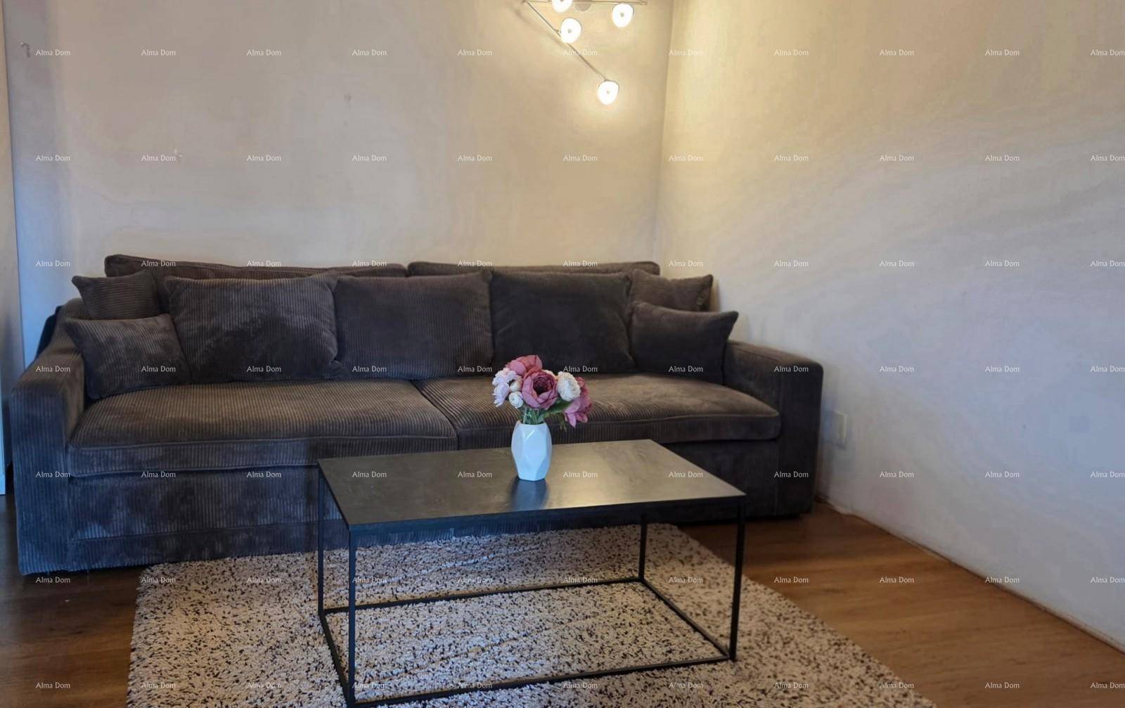 Gemütliches Wohnzimmer mit großem grauen Sofa, modernem Couchtisch und hellem Teppich.