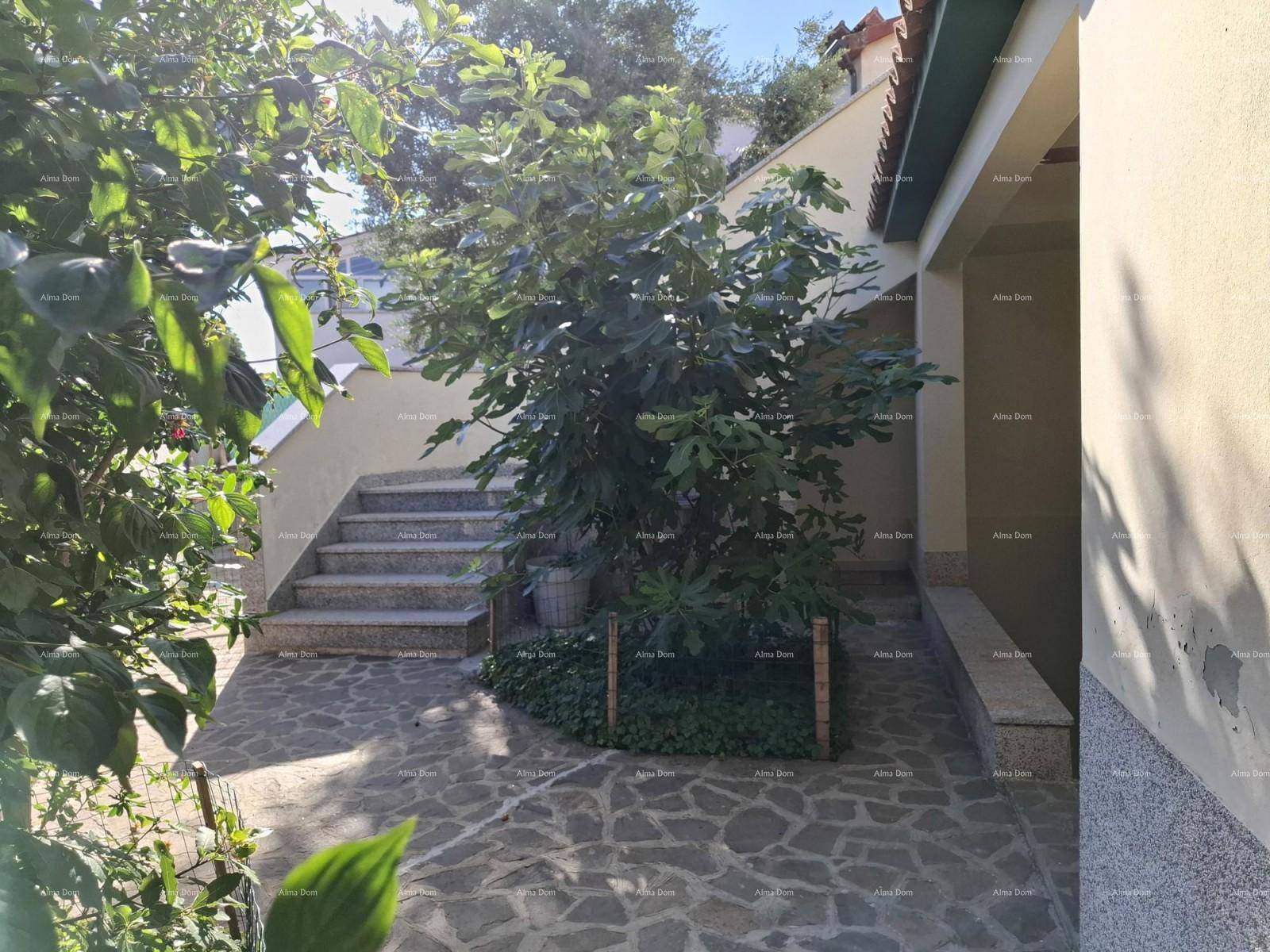 Außenbereich mit Steinfliesen, Treppe und Feigenbaum.