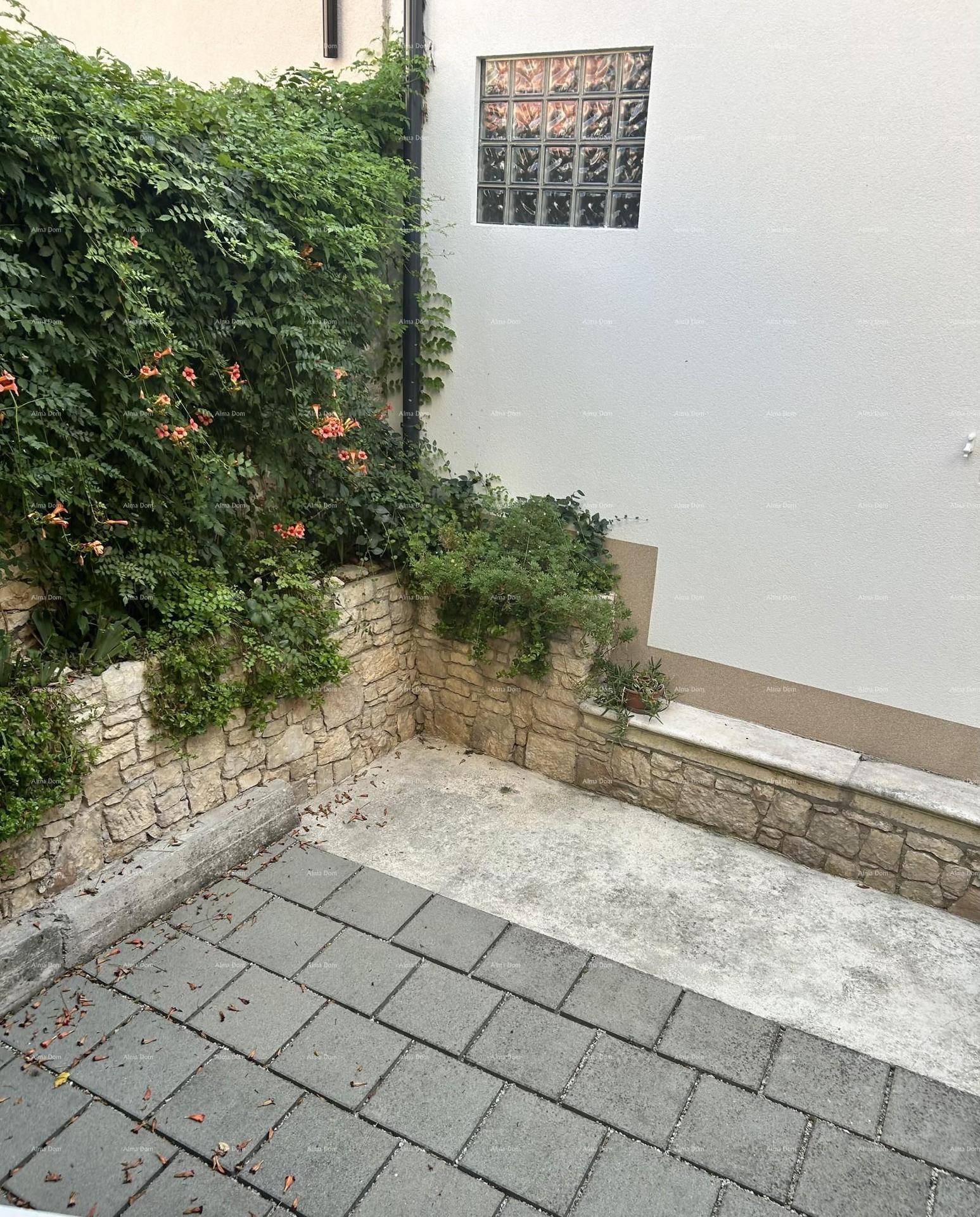 Gepflasterter Außenbereich mit Steinmauern und üppiger grüner Bepflanzung.