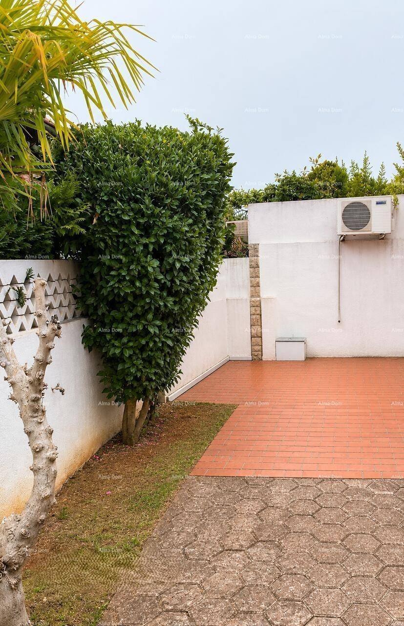 Gepflegter Gartenbereich mit Hecke, Palmen und gepflastertem Weg, bietet viel Grün.
