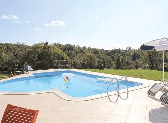 Weitläufiger Poolbereich mit Sonnenliegen, Sonnenschirm und großem Rasen, umgeben von Natur.
