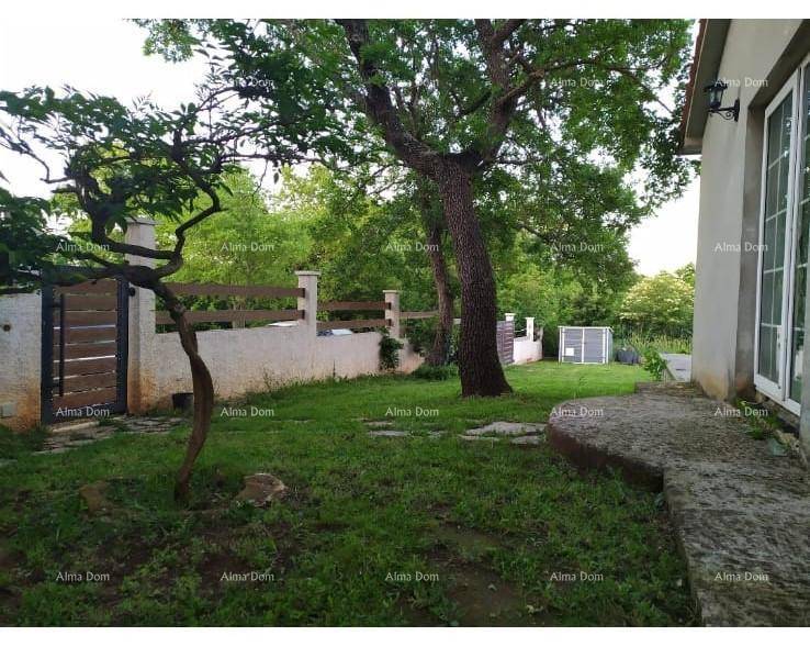 Grüner Gartenbereich neben dem Haus mit Rasenfläche und Bäumen.