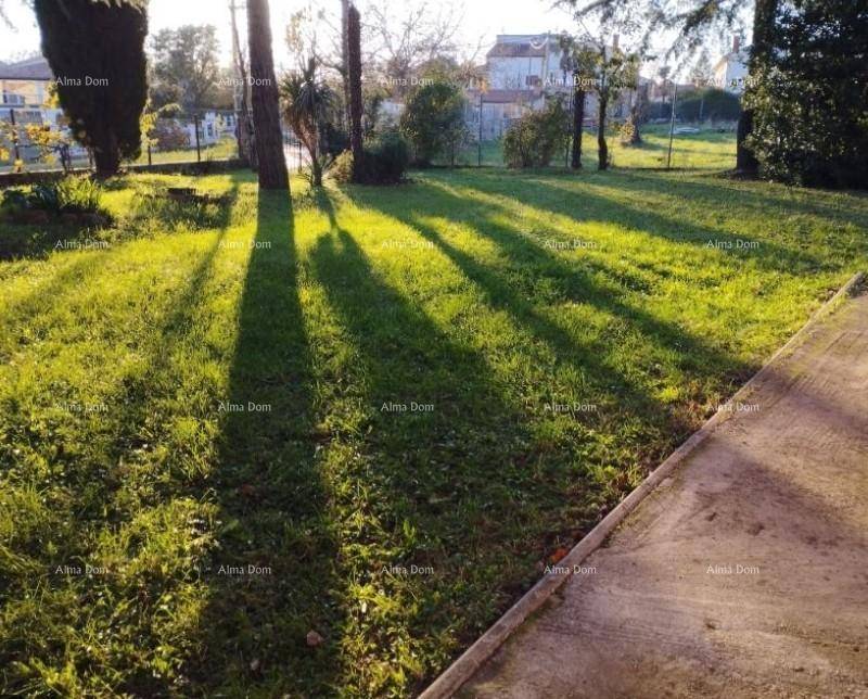 Sonniger Rasenbereich im Garten mit langen Schatten von Bäumen, ideal zum Entspannen.