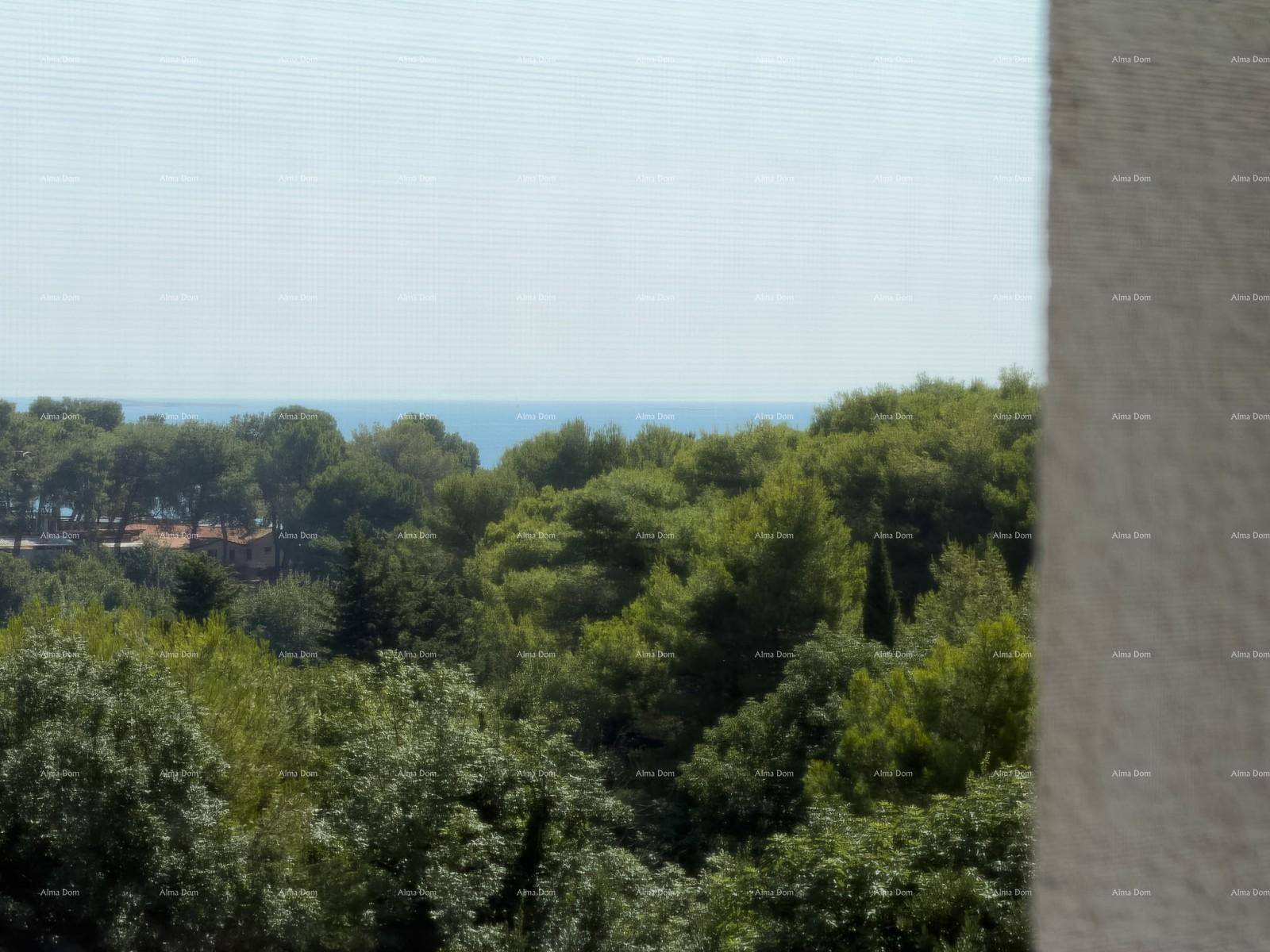 Blick aus dem Fenster auf das weite Meer und die umliegende grüne Landschaft.
