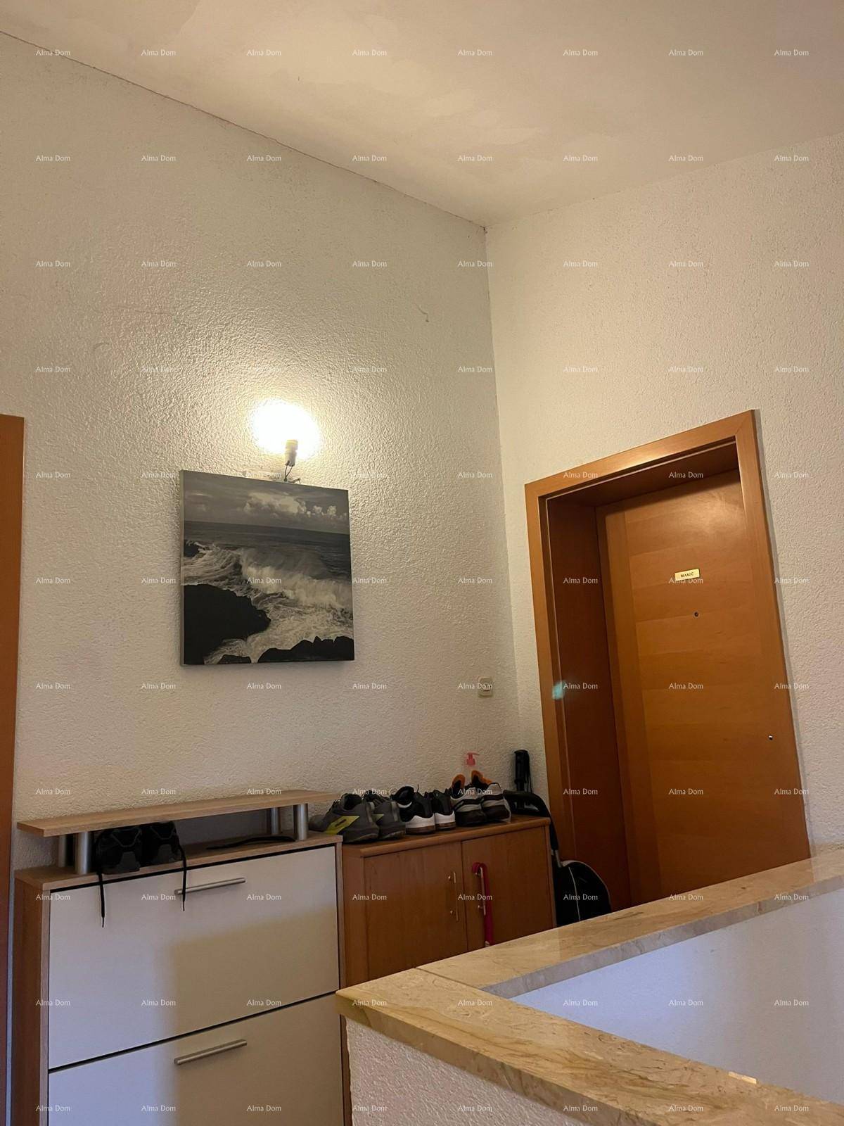 Heller Flurbereich mit Schuhschrank, Dekoration und Zugang zu angrenzenden Räumen.
