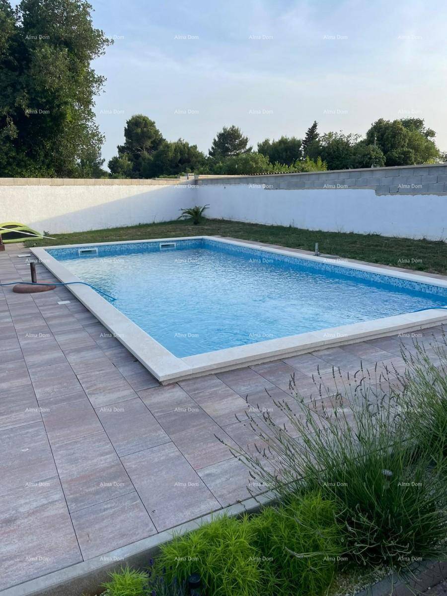 Rechteckiger Swimmingpool mit gepflasterter Umrandung und grünen Pflanzen im Vordergrund.