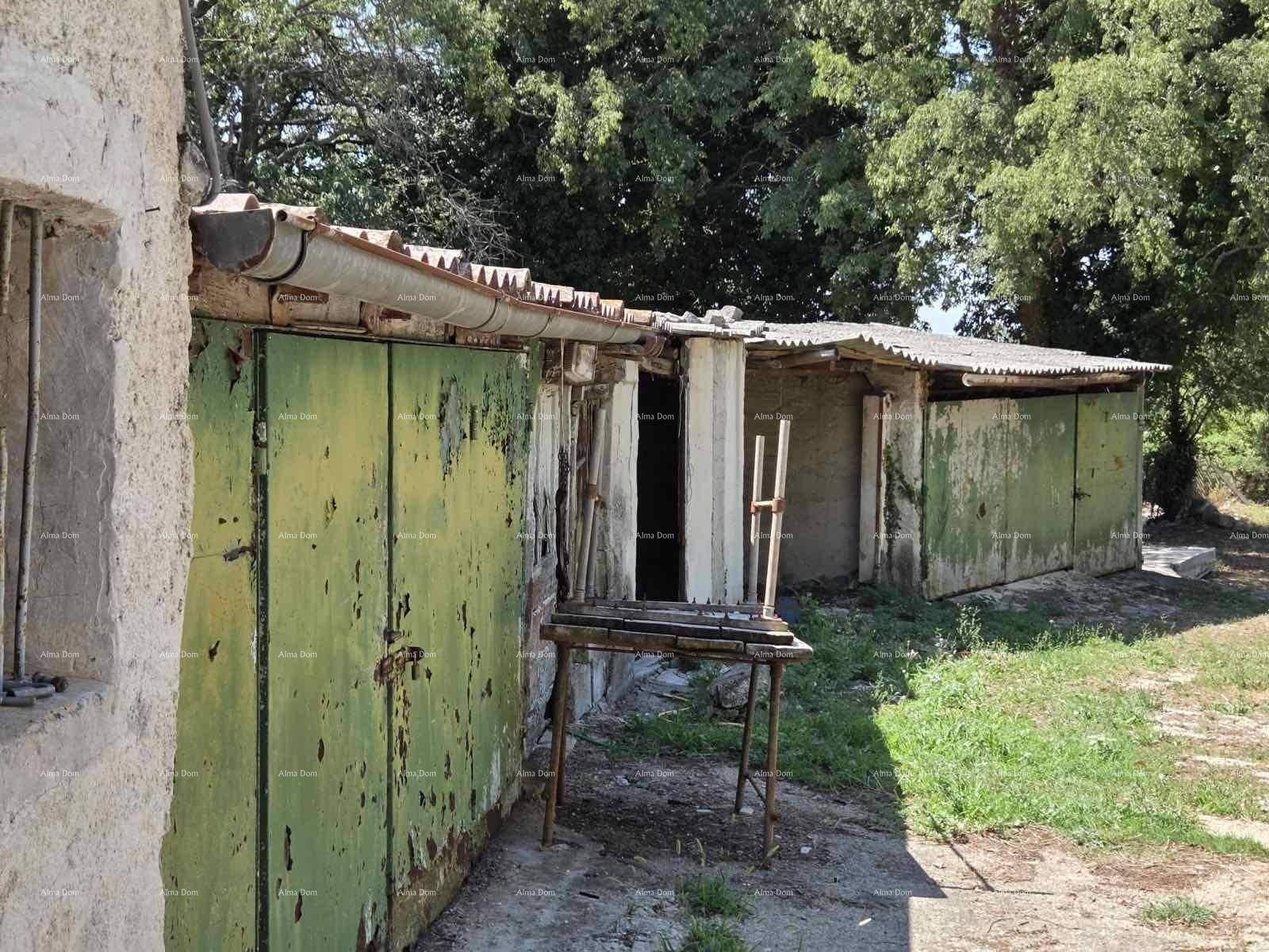 Nahaufnahme der verwitterten grünen Schuppentüren mit Rost und sichtbaren Spuren des Verfalls.