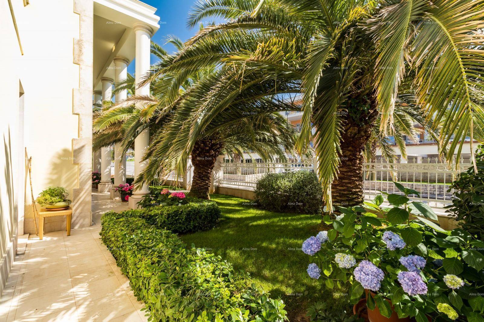 Mediterraner Gartenbereich mit üppigen Palmen, blühenden Hortensien und einem gepflegten Rasen.