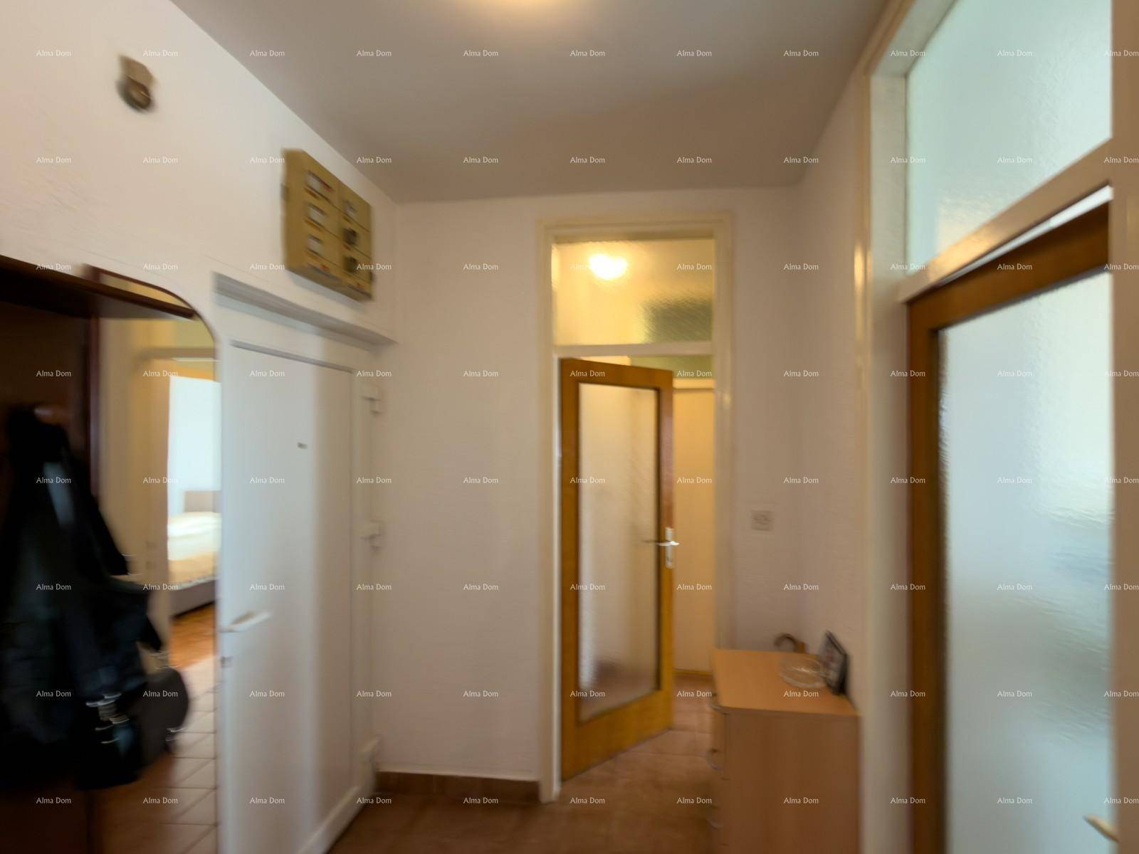 Heller Flur mit mehreren Türen und einem kleinen Schrank.