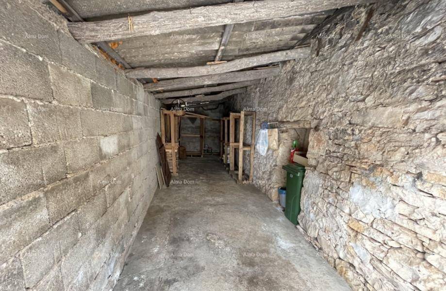 Rustikaler Kellerraum mit unverputzten Stein- und Betonwänden sowie sichtbaren Holzdeckenbalken.