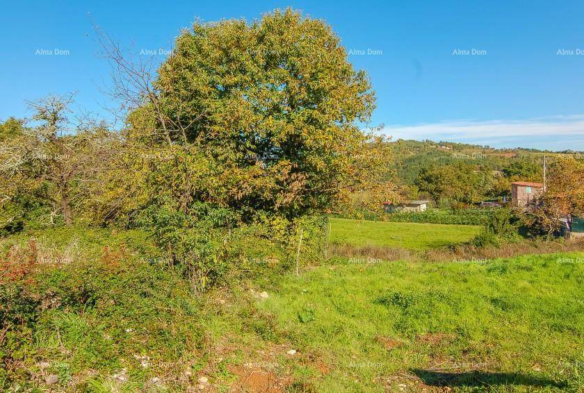Grüne Hügellandschaft mit vereinzelten Bäumen und einem Gebäude in der Ferne unter klarem Himmel.