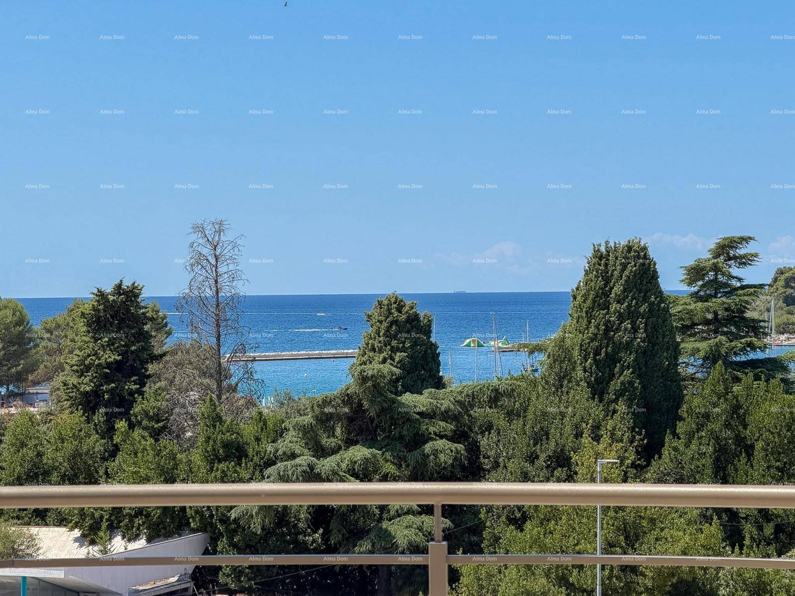 Panoramablick auf das Meer über die Baumwipfel und die Küstenlinie.