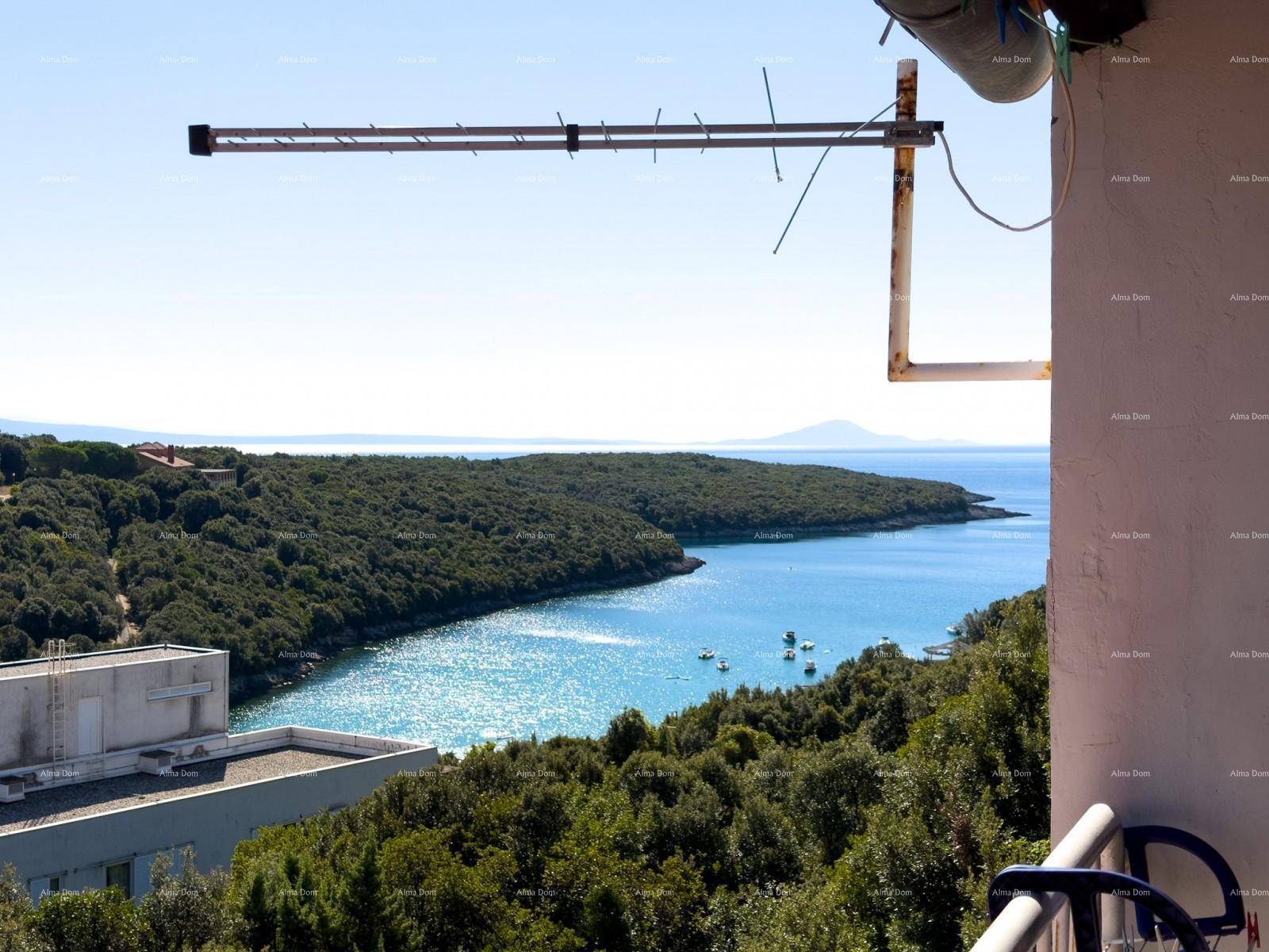 Weitläufiger Meerblick von einem Balkon über die bewaldete Küste und die glitzernde Bucht.
