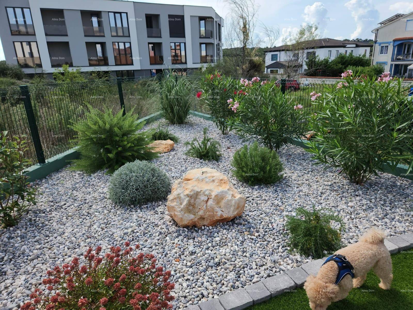Attraktiver Steingarten mit großen Felsen, blühenden Sträuchern und Zierkies.