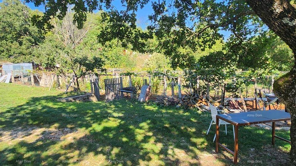 Schattiger Gartenbereich unter einem großen Baum mit einem Tisch und Stühlen für entspannte Stunden.