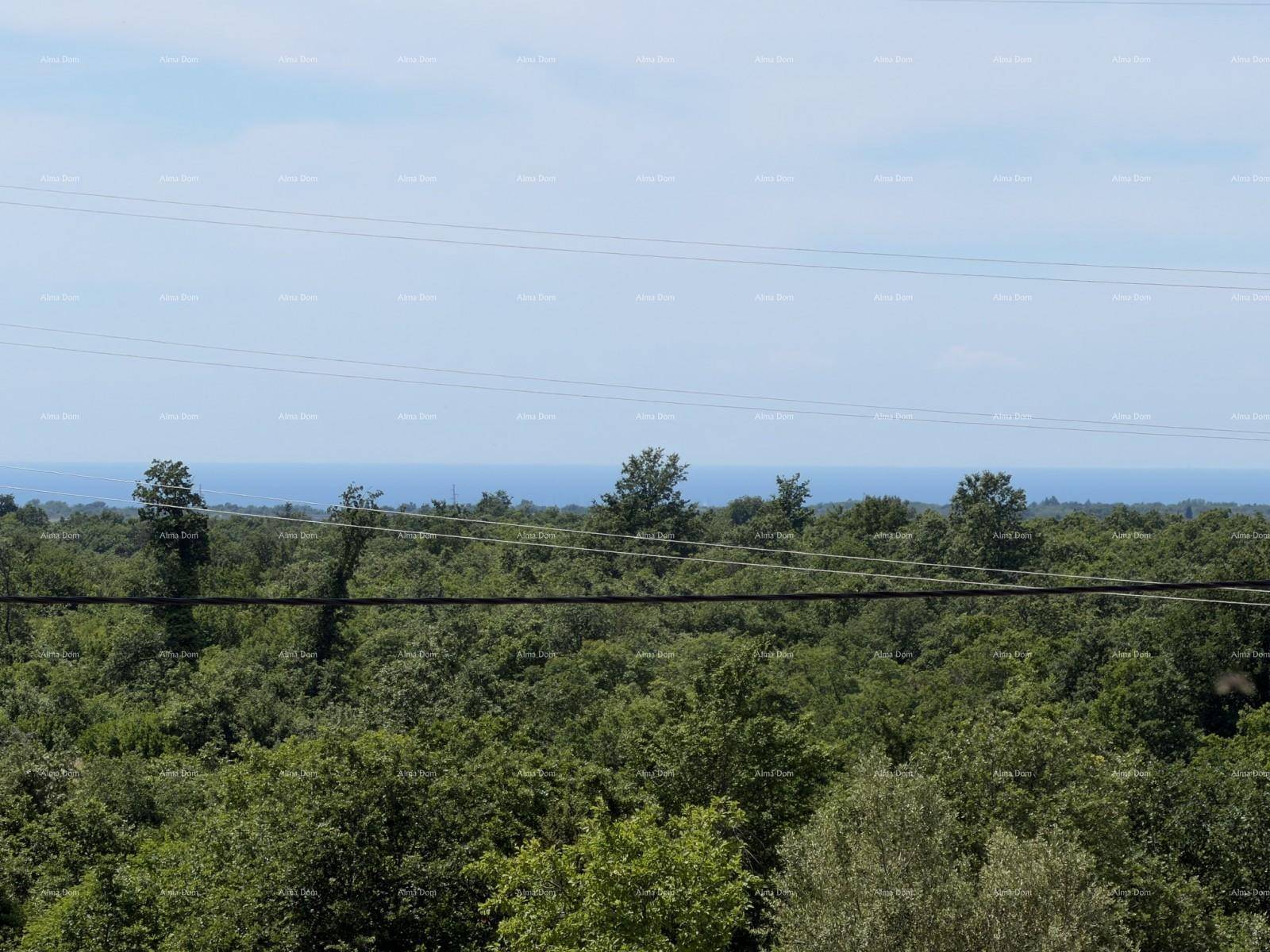 Weitläufiger Blick über eine grüne Landschaft mit Bäumen bis zum Horizont, wo das Meer sichtbar ist.