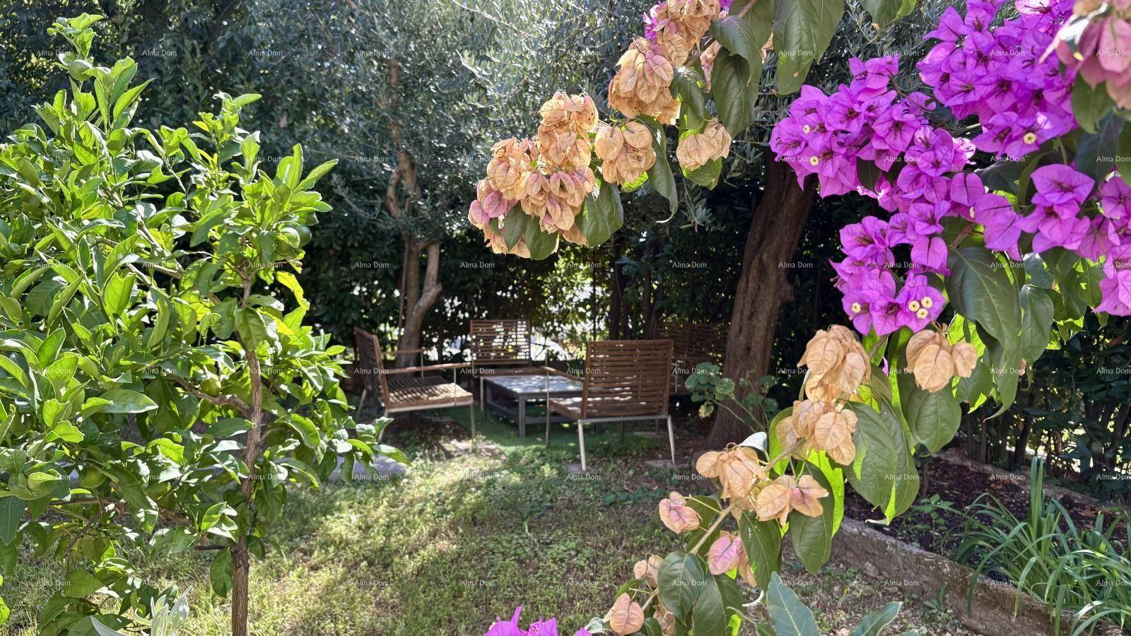 Malerischer Gartenblick durch blühende Bougainvillea auf eine versteckte Sitzecke im Grünen.