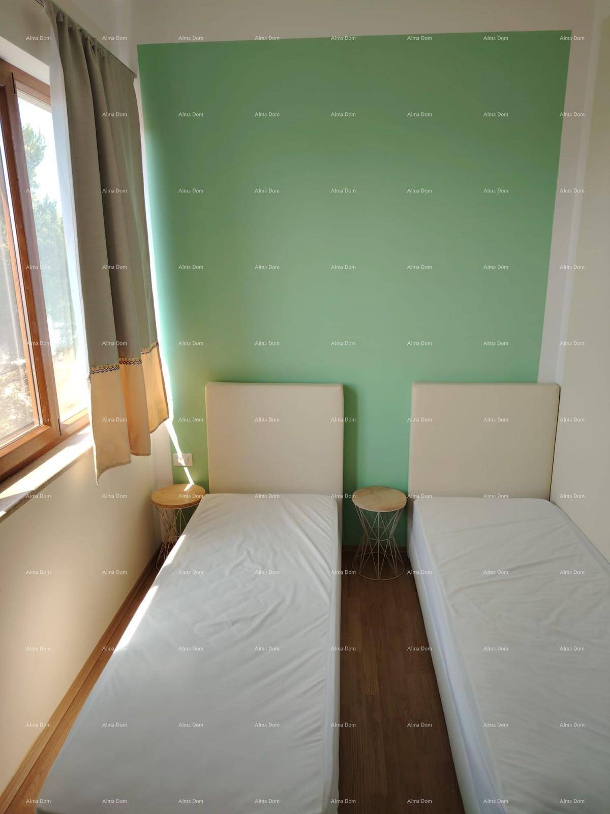 Helles Schlafzimmer mit zwei Einzelbetten, grüner Akzentwand und Fenster für natürliches Licht.
