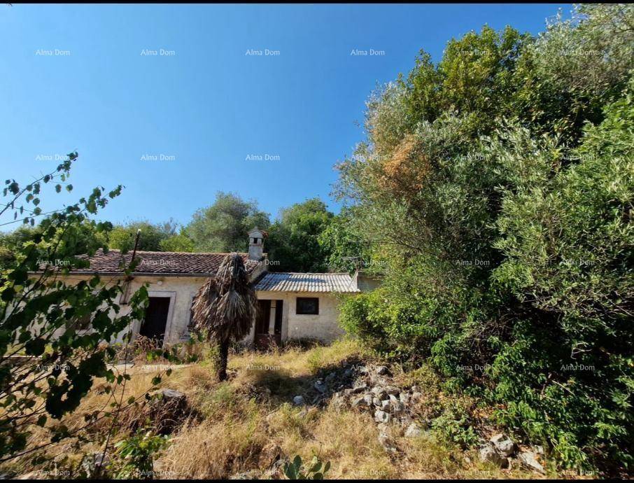 Altes, renovierungsbedürftiges Steinhaus umgeben von Bäumen und mediterraner Vegetation.