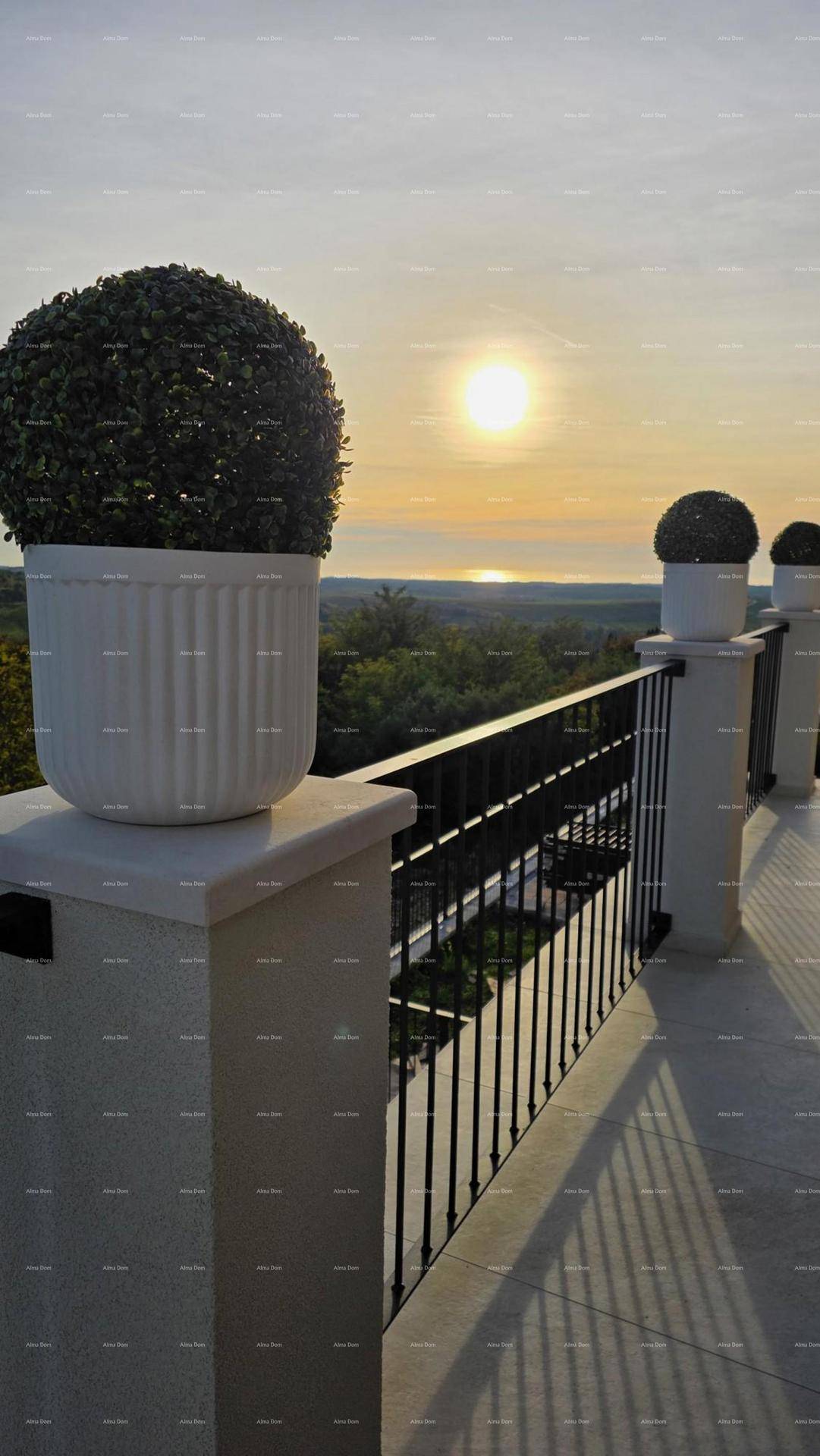 Balkon mit dekorativen Pflanzen und weitem Blick über die Landschaft bei Sonnenuntergang.