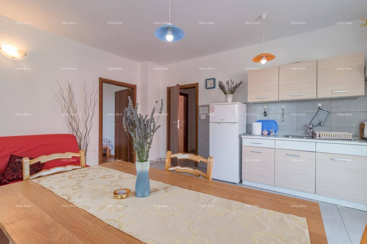 Kombinierter Wohn- und Essbereich mit Holztisch, Küchenzeile und Zugang zu weiteren Räumen.