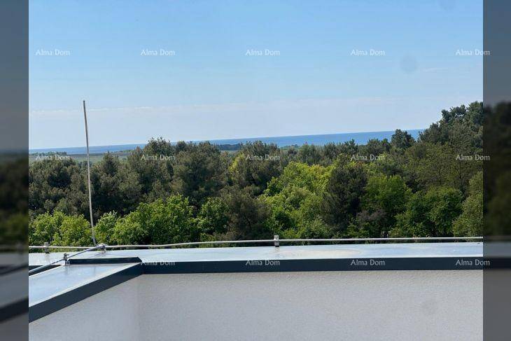 Weitblick über grüne Baumwipfel bis zum Meer unter blauem Himmel.