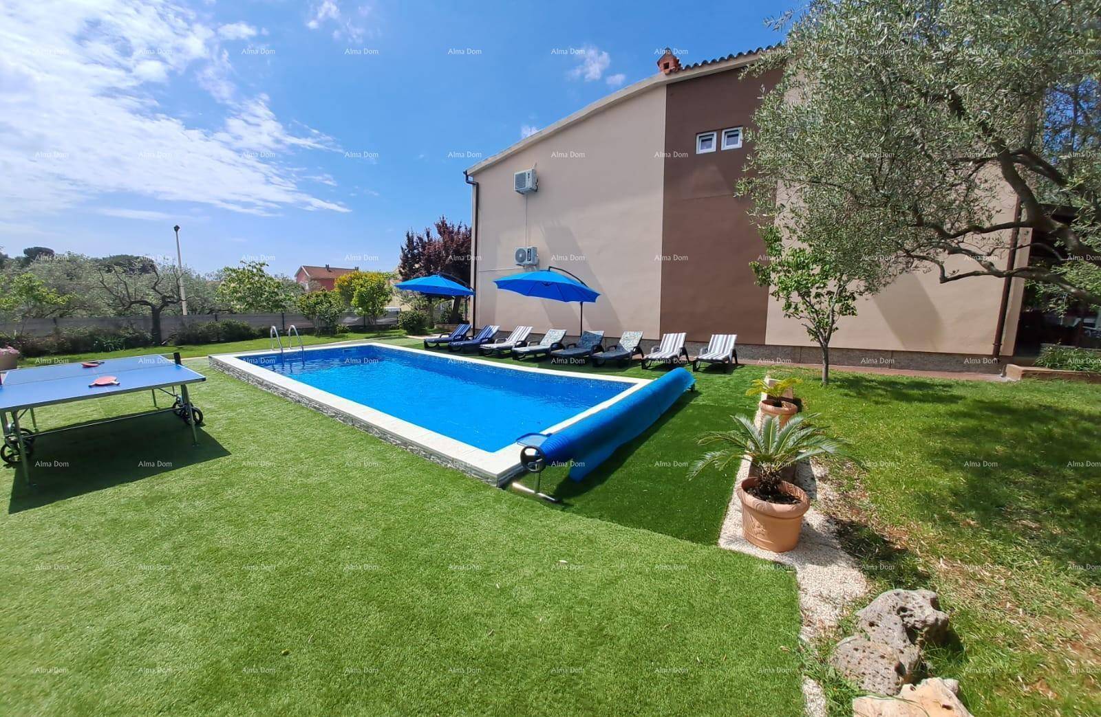 Weitläufiger Garten mit Swimmingpool, Liegefläche und Tischtennisplatte, umgeben von Grün.