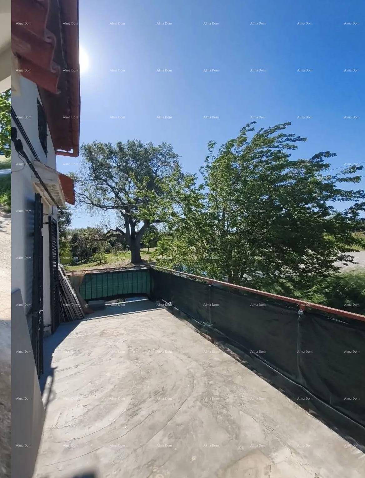 Offener Balkon mit weitem Blick auf Bäume und Natur, ideal für sonnige Tage und frische Luft.