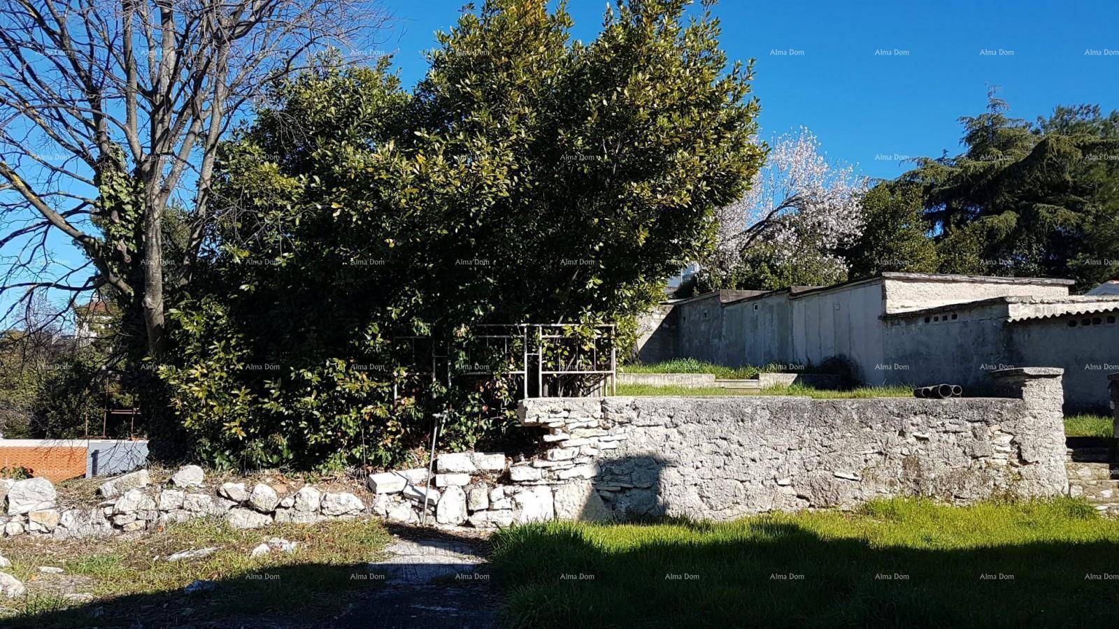 Sonniger Gartenbereich mit alten Steinmauern, üppigen Bäumen und Natursteintreppen im Freien.