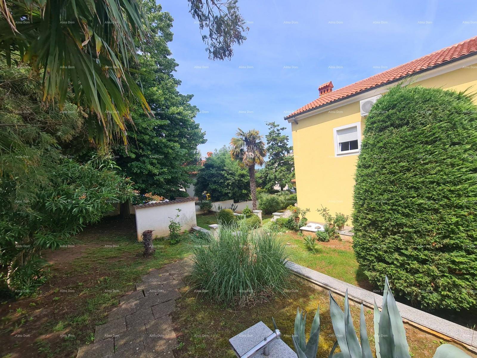 Gepflegter Gartenbereich mit üppiger Vegetation und Palmen.