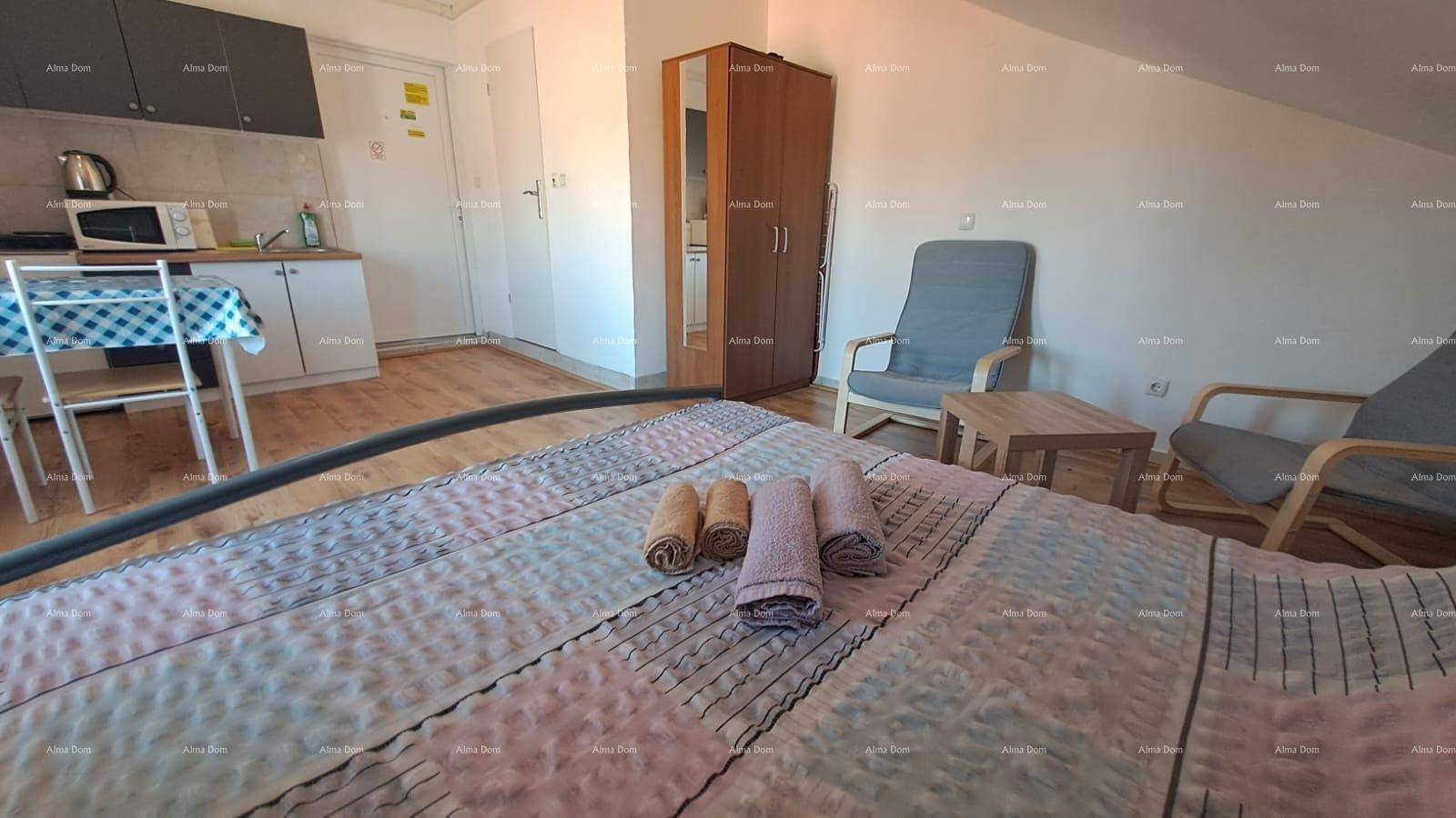 Kombinierter Wohn- und Schlafbereich mit Bett, Sitzgelegenheiten und integrierter Küchenzeile.