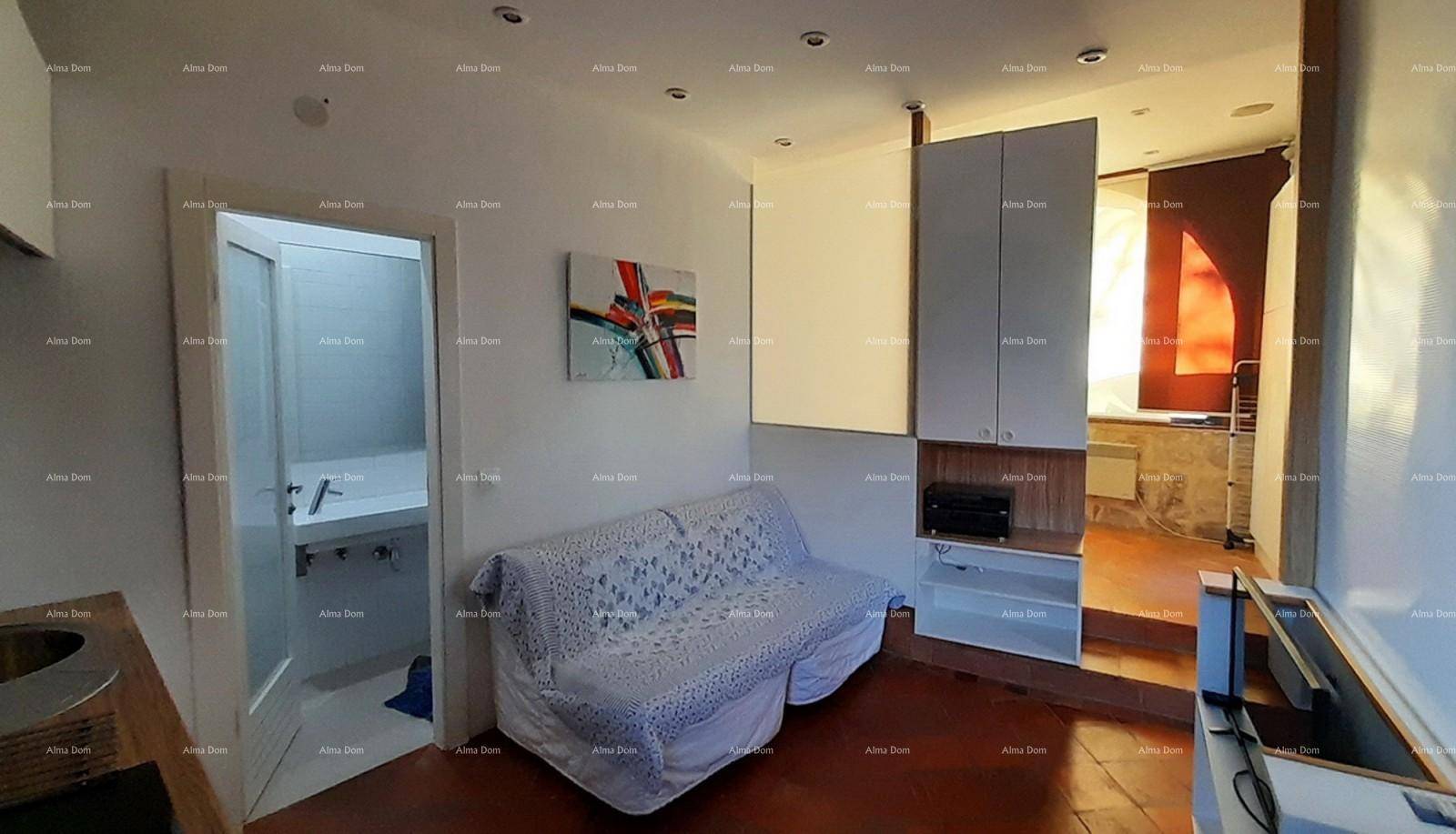 Gemütlicher Wohnbereich mit Schlafsofa und Zugang zu einem angrenzenden Badezimmer.
