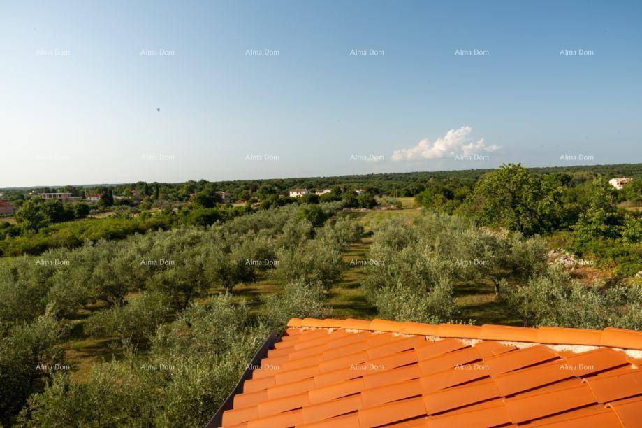 Weitläufiger Panoramablick über eine grüne Landschaft mit Olivenhainen und Häusern.